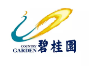 远安碧桂园地产